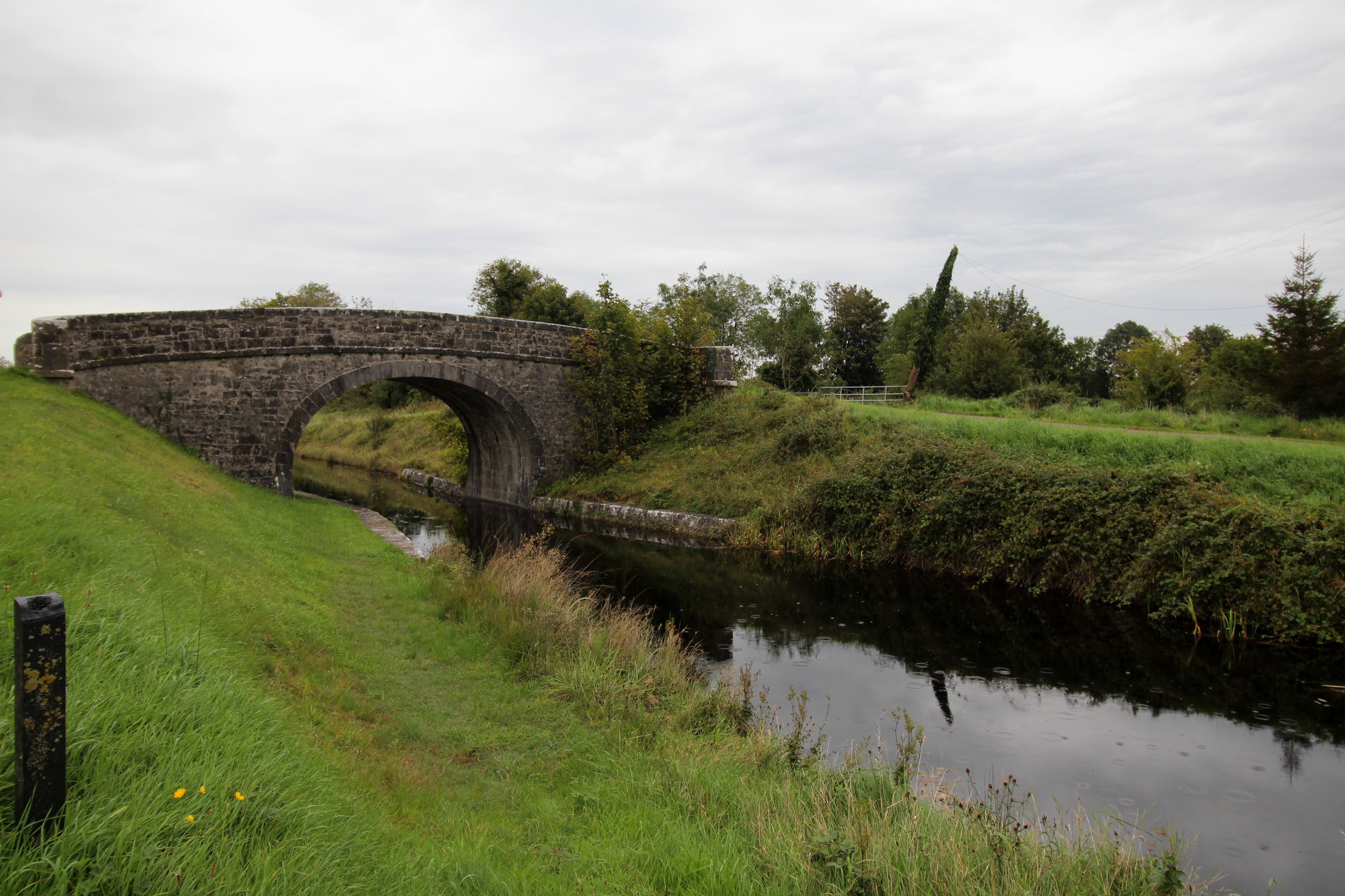 Ards, Keenagh, Co.Longford.